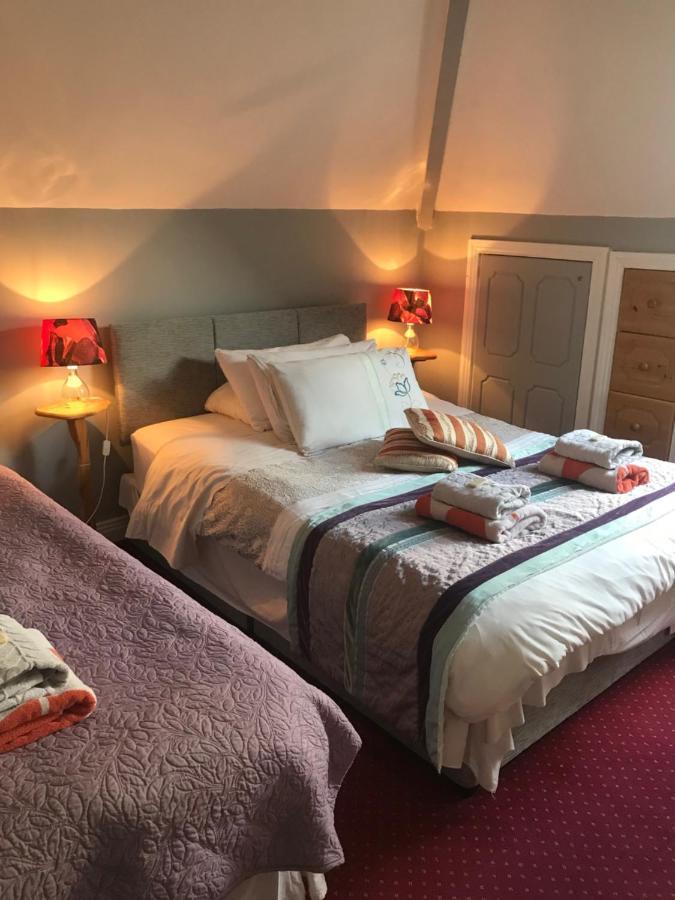 Aurora House Bed And Breakfast Athy Exteriér fotografie