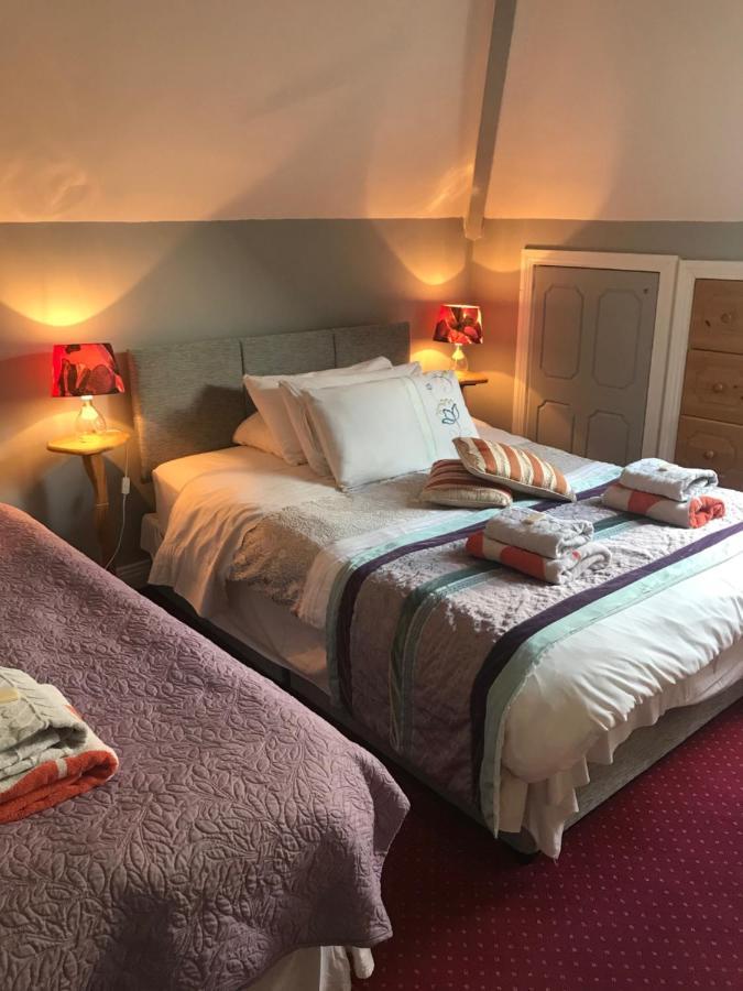 Aurora House Bed And Breakfast Athy Exteriér fotografie