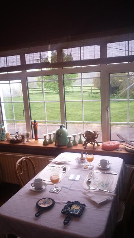 Aurora House Bed And Breakfast Athy Exteriér fotografie